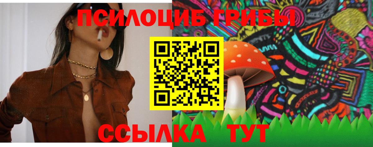 как найти закладки  Псилоцибиновые грибы прущие грибы  Вход с VPN  Бийск 
